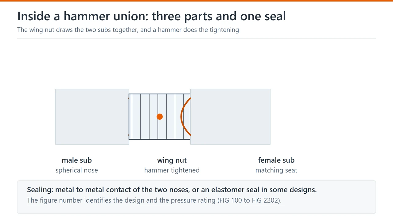 Cutaway of a hammer union showing the male sub with its spherical nose, the wing nut and the female sub with the matching seat